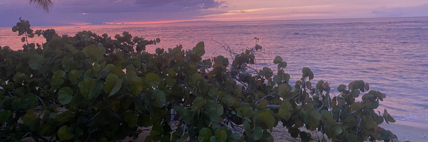 RaquelFrancoJ's profile banner image