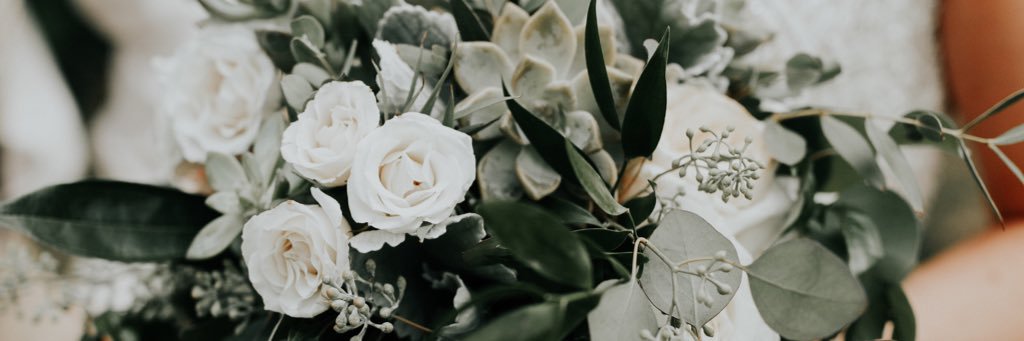 BreOstrom3's profile banner image