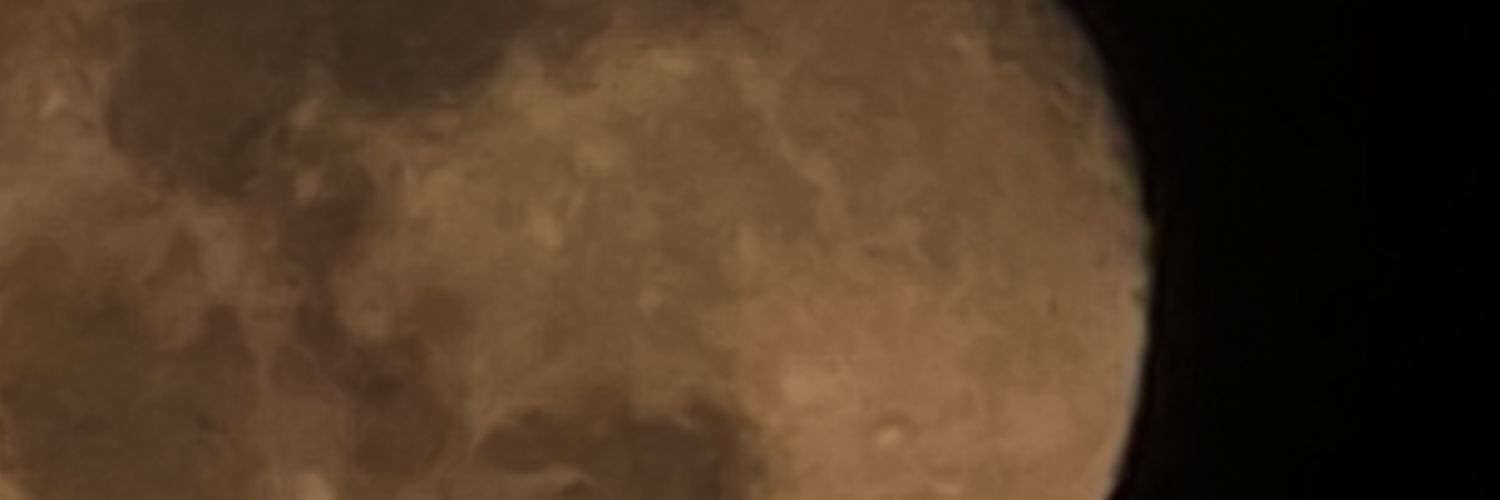 num_pajaree's profile banner image