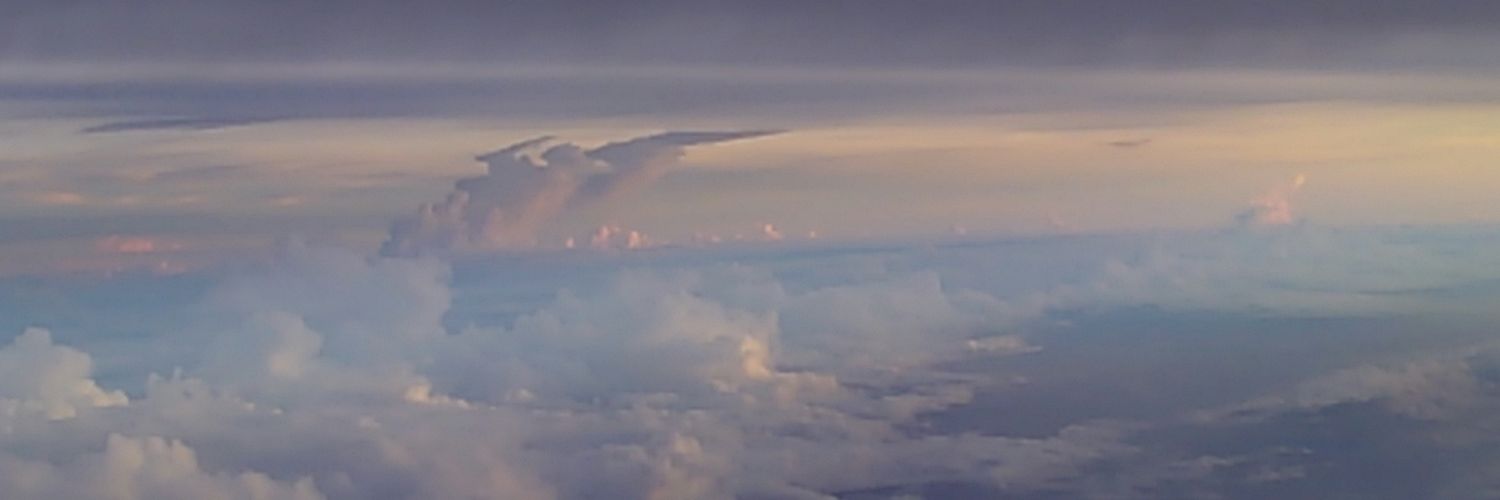 Ricokatze's profile banner image