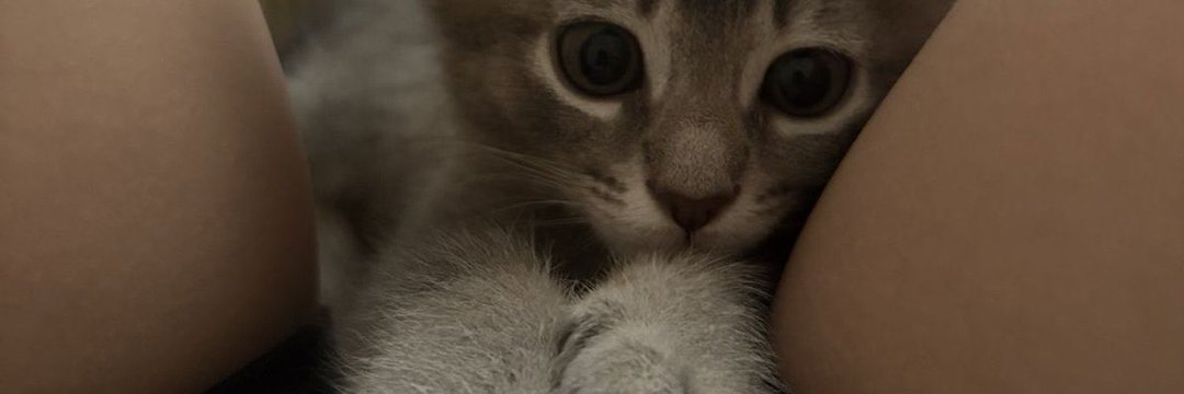 skylarfyp's profile banner image