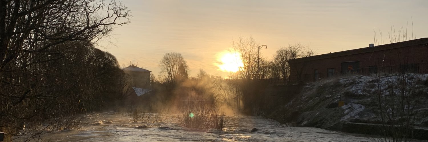 Veera Siivonen banner