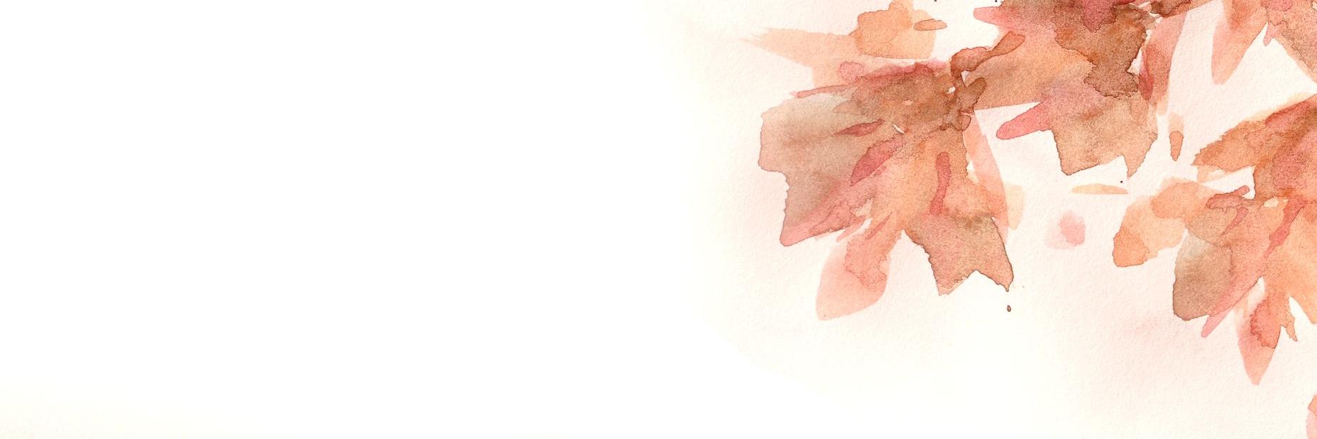 aungelineb's profile banner image
