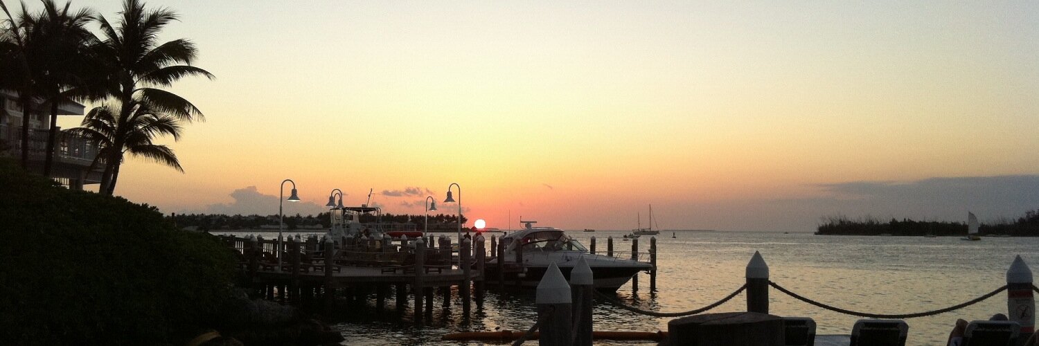 Francois LIENART banner