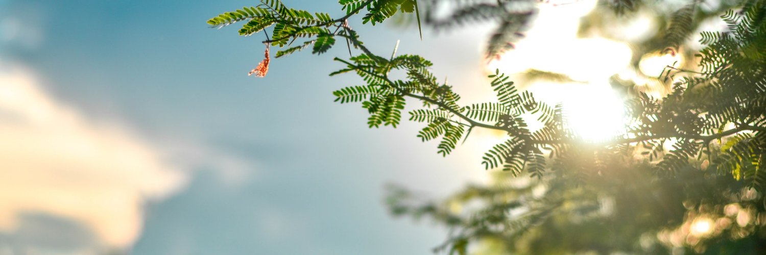 DragoFire's profile banner image