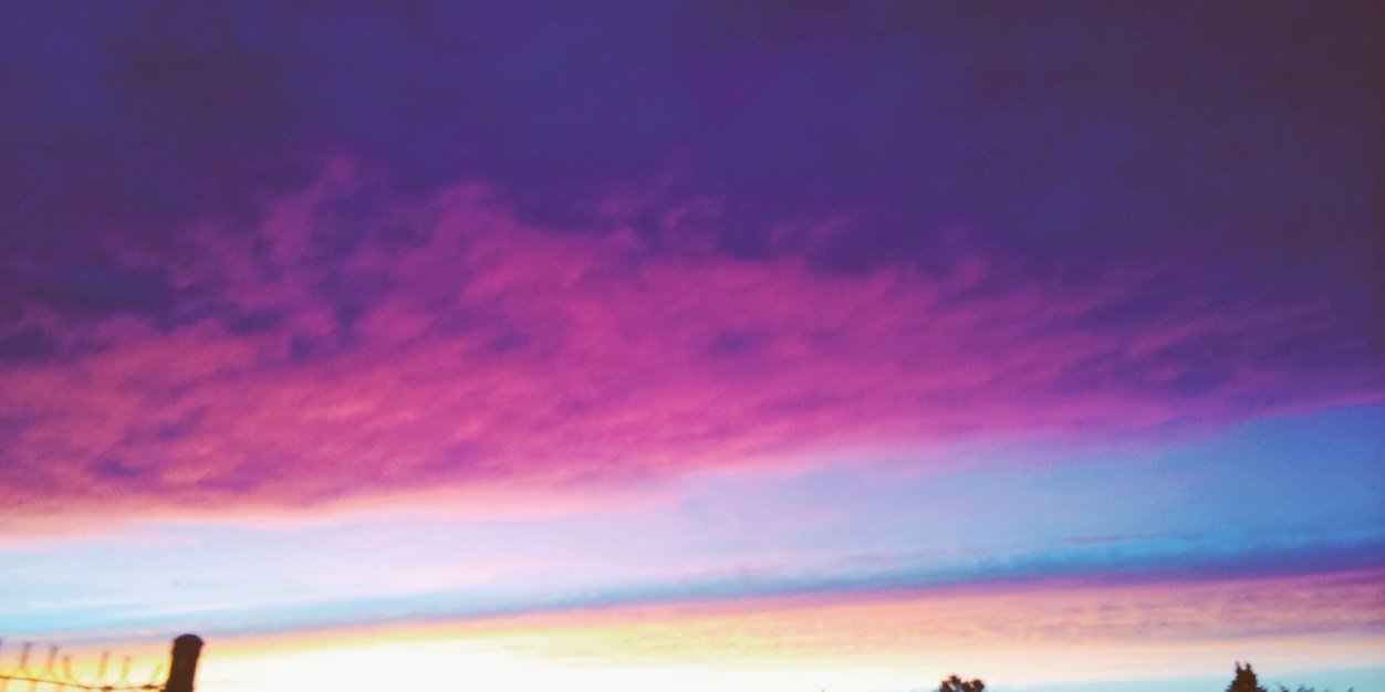 rileybutter's profile banner image