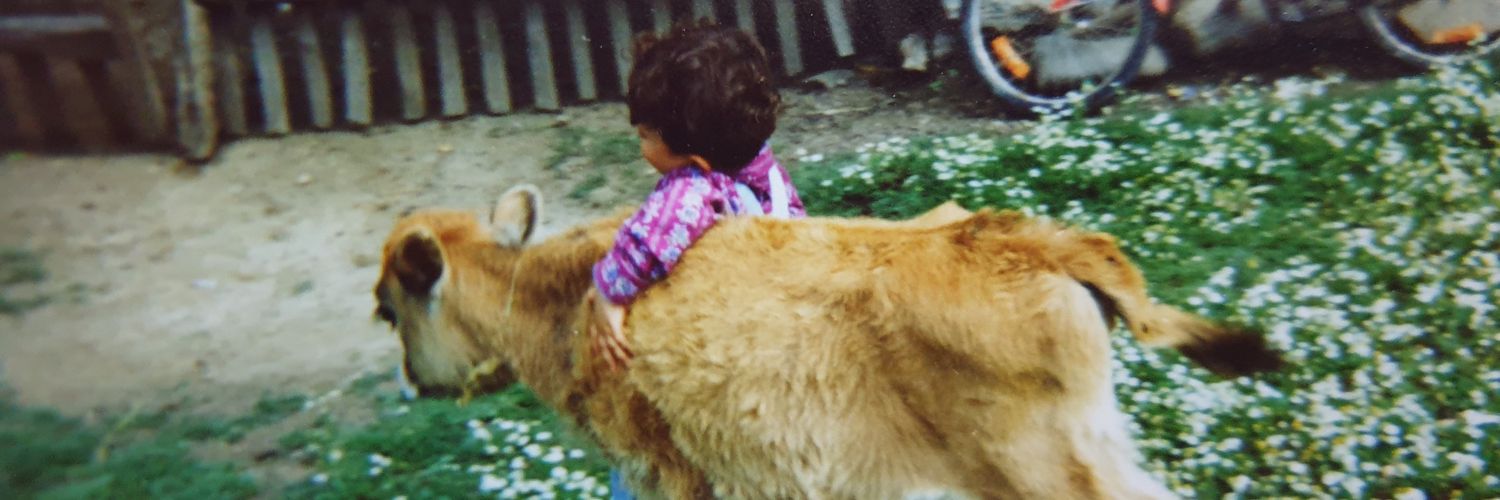 ayktergn's profile banner image