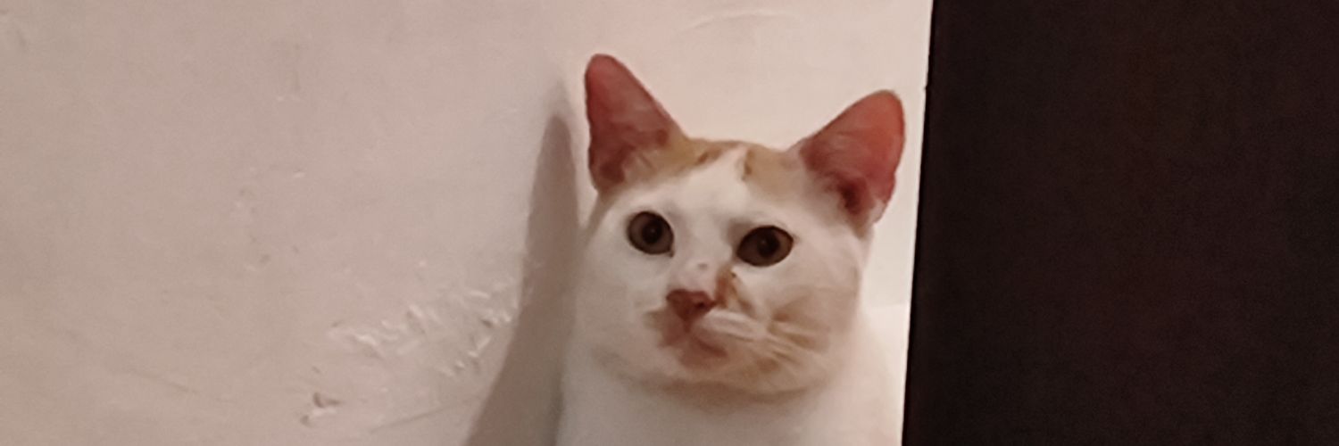 radeninee's profile banner image