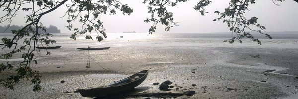 fnche Profile Banner