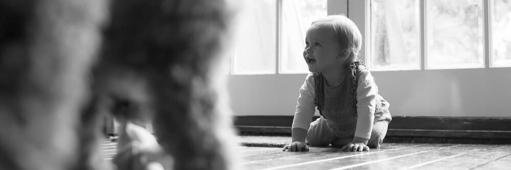 LittleBeanies_'s profile banner image
