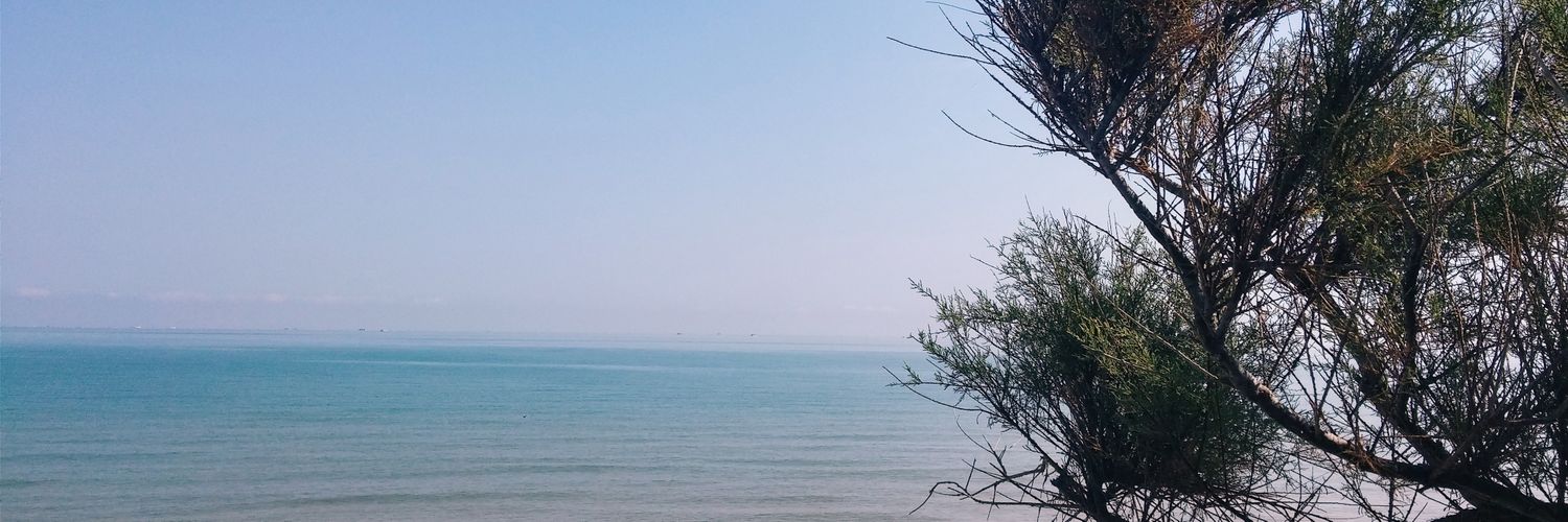 nazcro's profile banner image