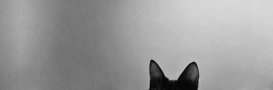 superkhat's profile banner image