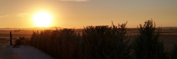 Aureal Profile Banner