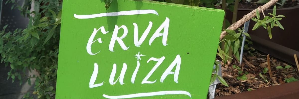 luizahmp's profile banner image