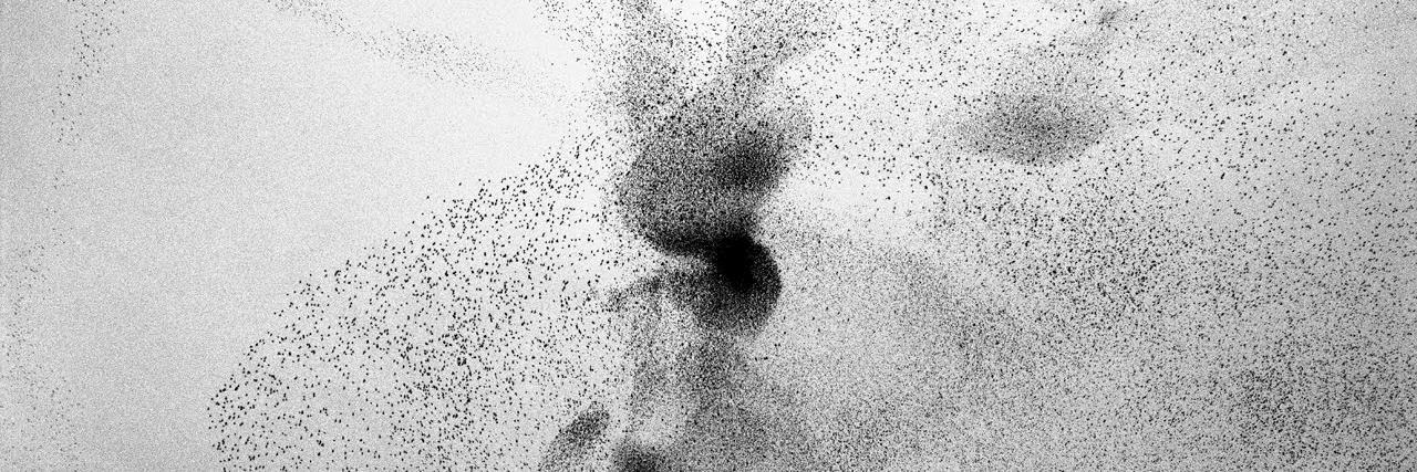 Jamie Lorimer banner