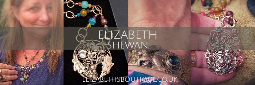 LizShewan's profile banner image