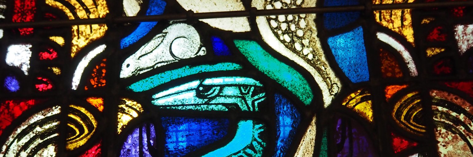 Berend4AA's profile banner image
