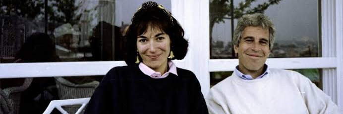 🪼Solarity🦤 banner