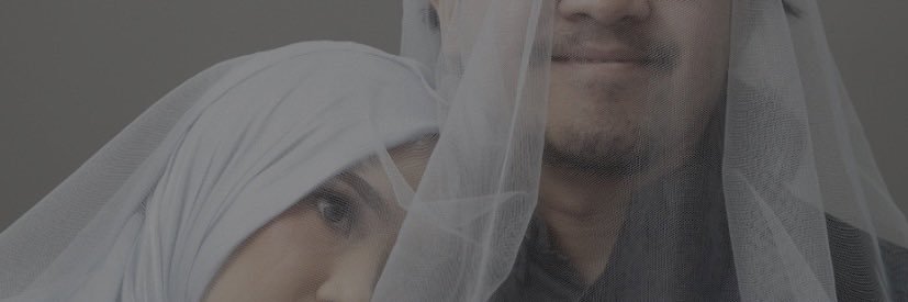🧶🐈 banner