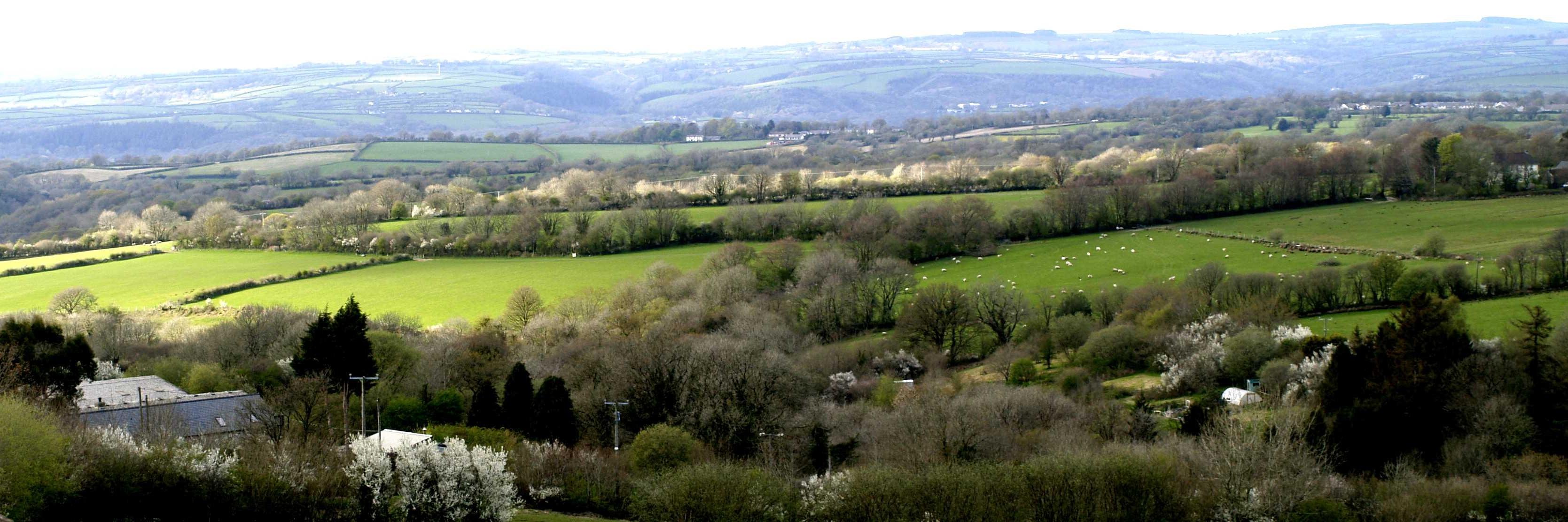 tyddynbryn's profile banner image