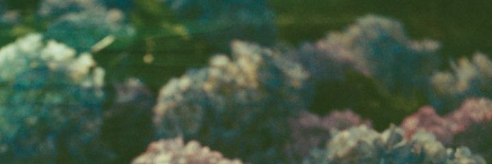 Juan Foreigner banner