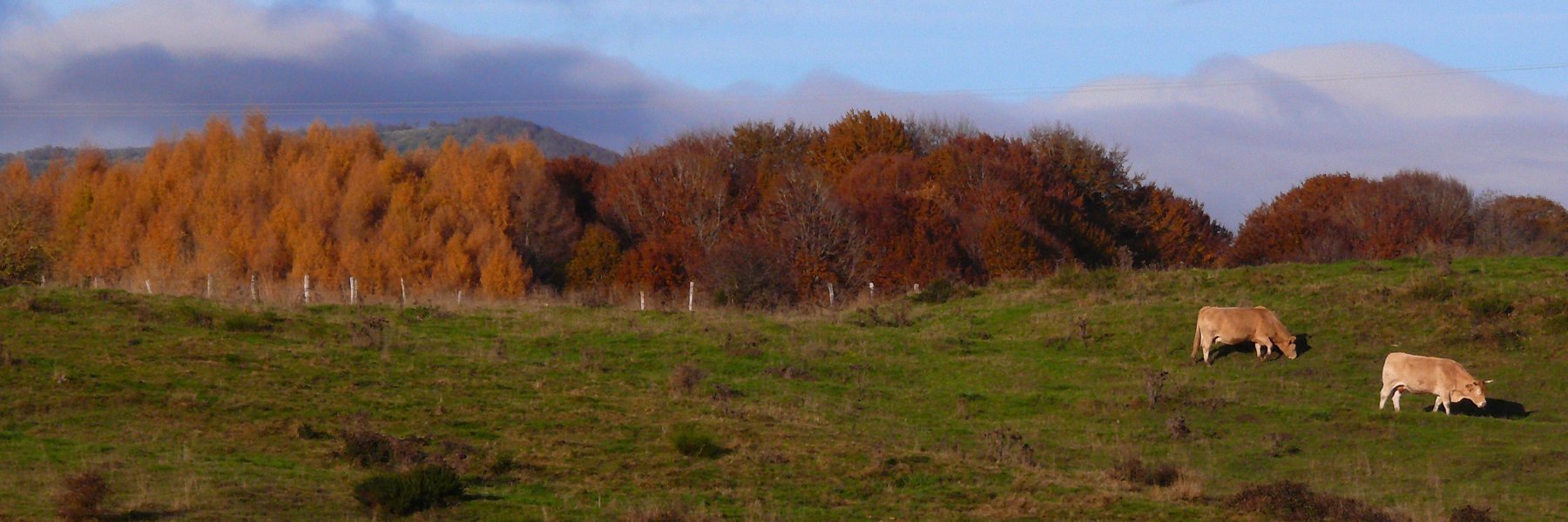 ruralnavarra's profile banner image