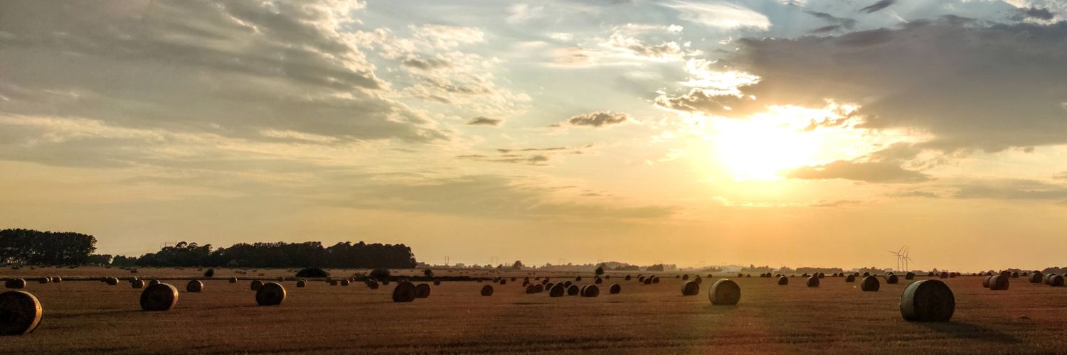 svesamuel's profile banner image