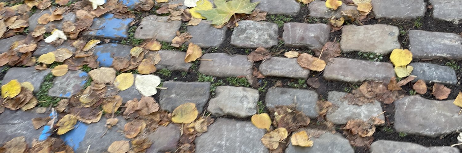serkanustuner_'s profile banner image