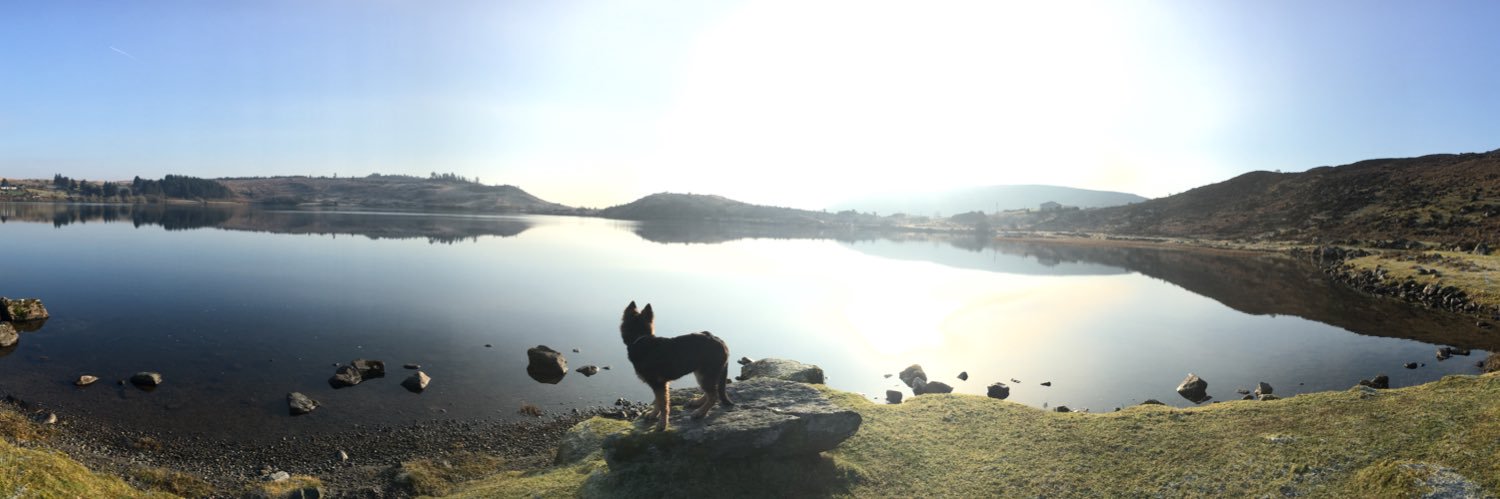 ADunneAT's profile banner image