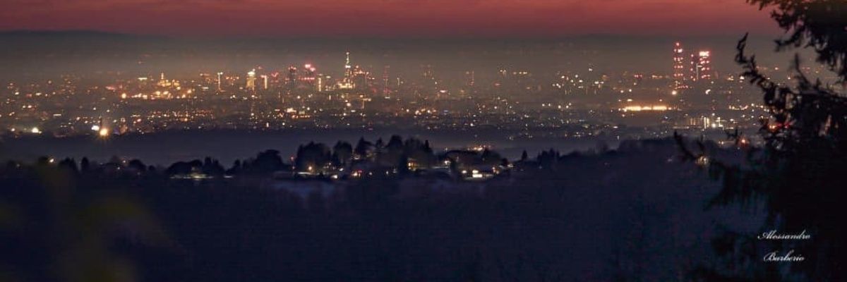 Goose Byron  banner