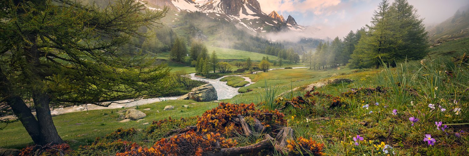 Joseph Essien banner