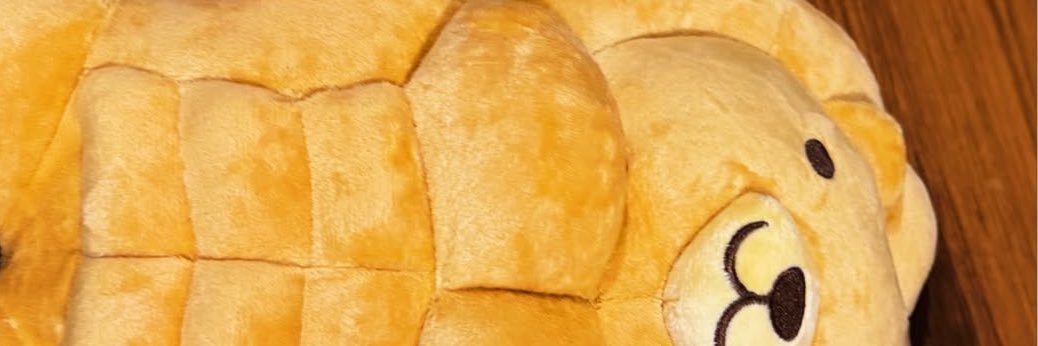 (ง •̀_•́)۶ ฮะจิ ꔛ🌼🌷 banner