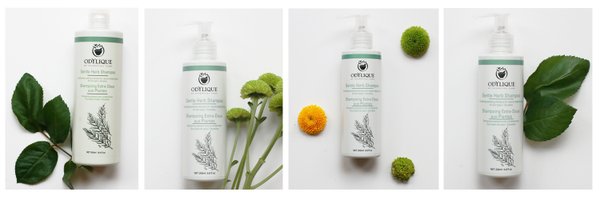 Odylique Profile Banner