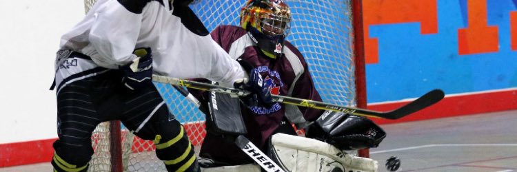 Edmonton Inline banner
