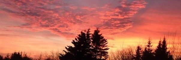 Treen Goodwin banner