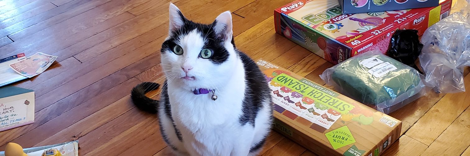 Hurricane kicks banner