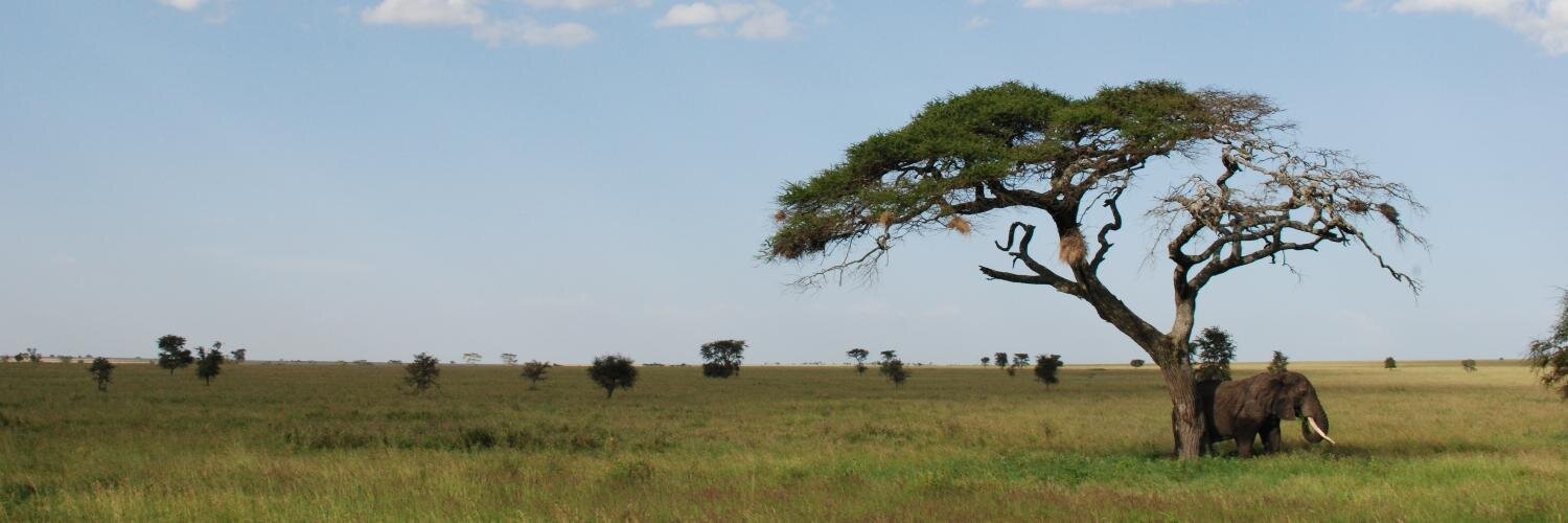 Allan Beaufour banner