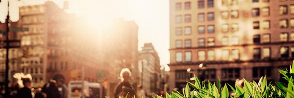 Urban_Turtle Profile Banner