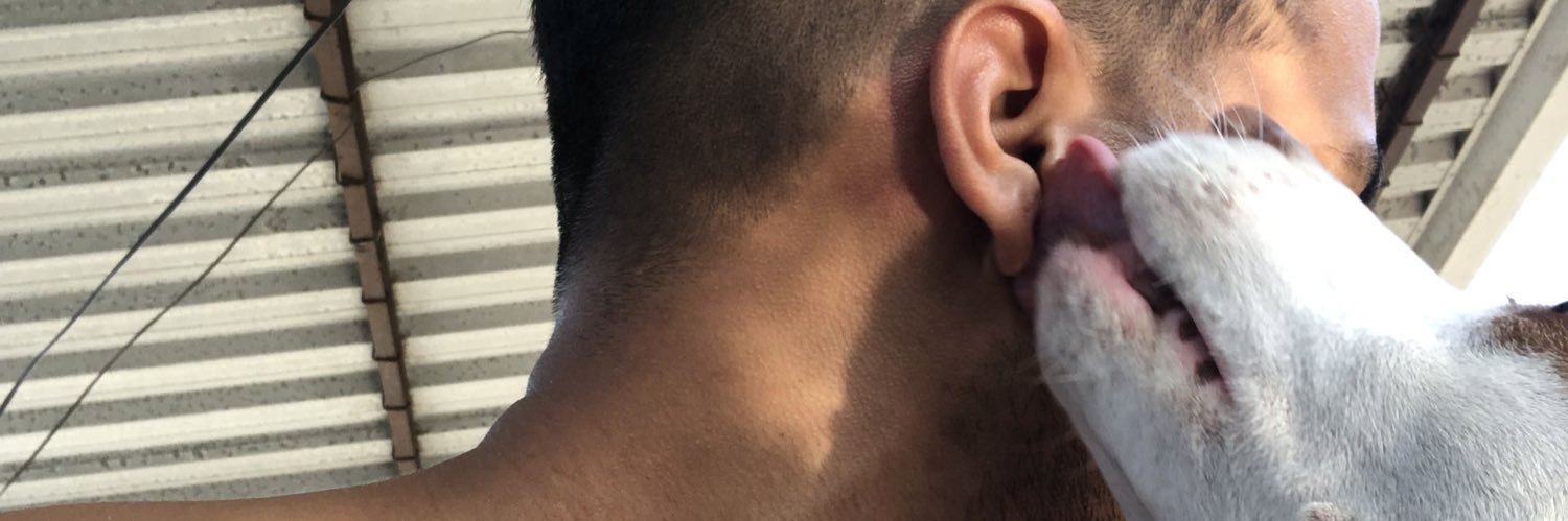 Guilhermefdls's profile banner image