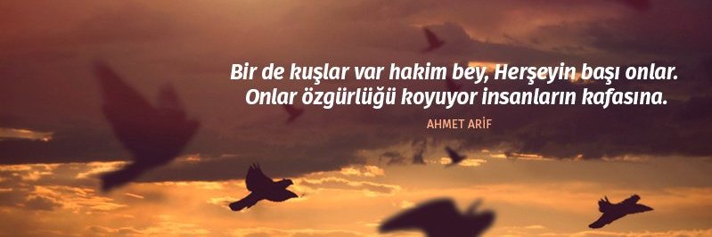 ozlemsungu's profile banner image
