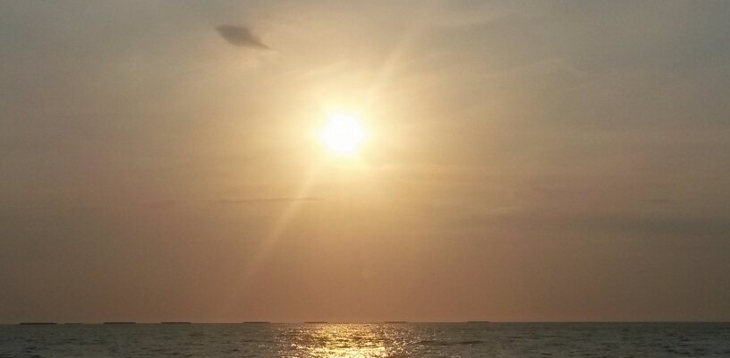 dpadierna's profile banner image