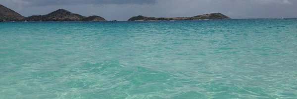 Renato EPJᶜʳᶠ banner