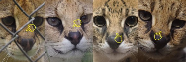 plus7 Profile Banner