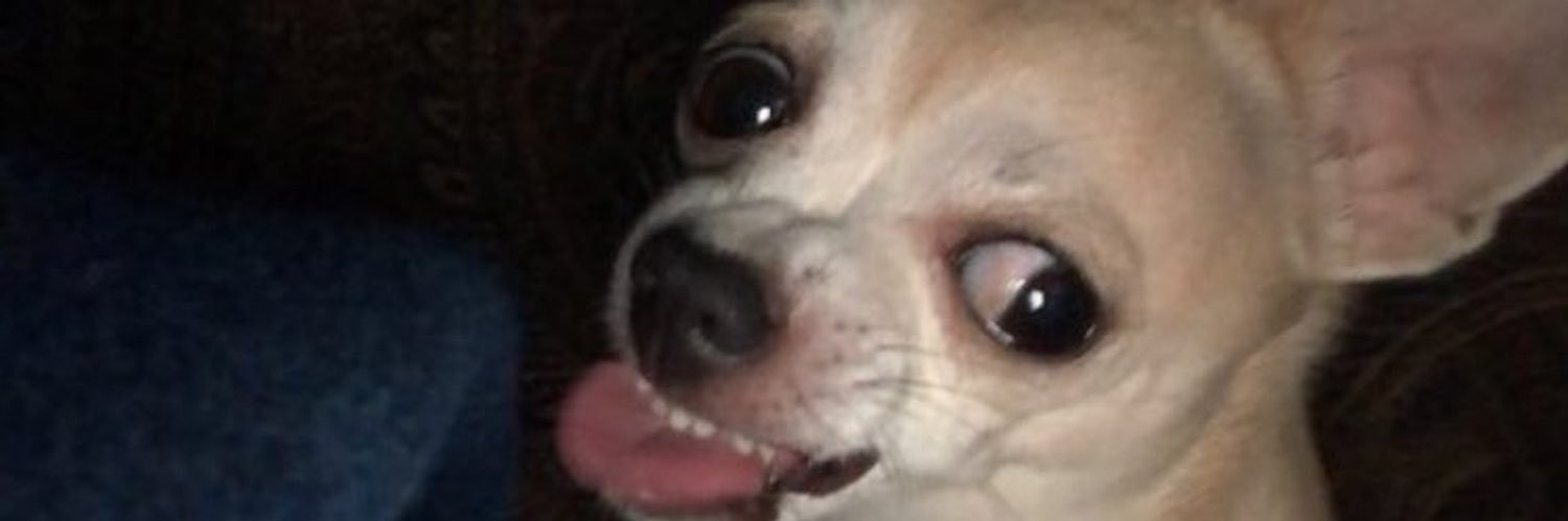 priscilaa_r's profile banner image