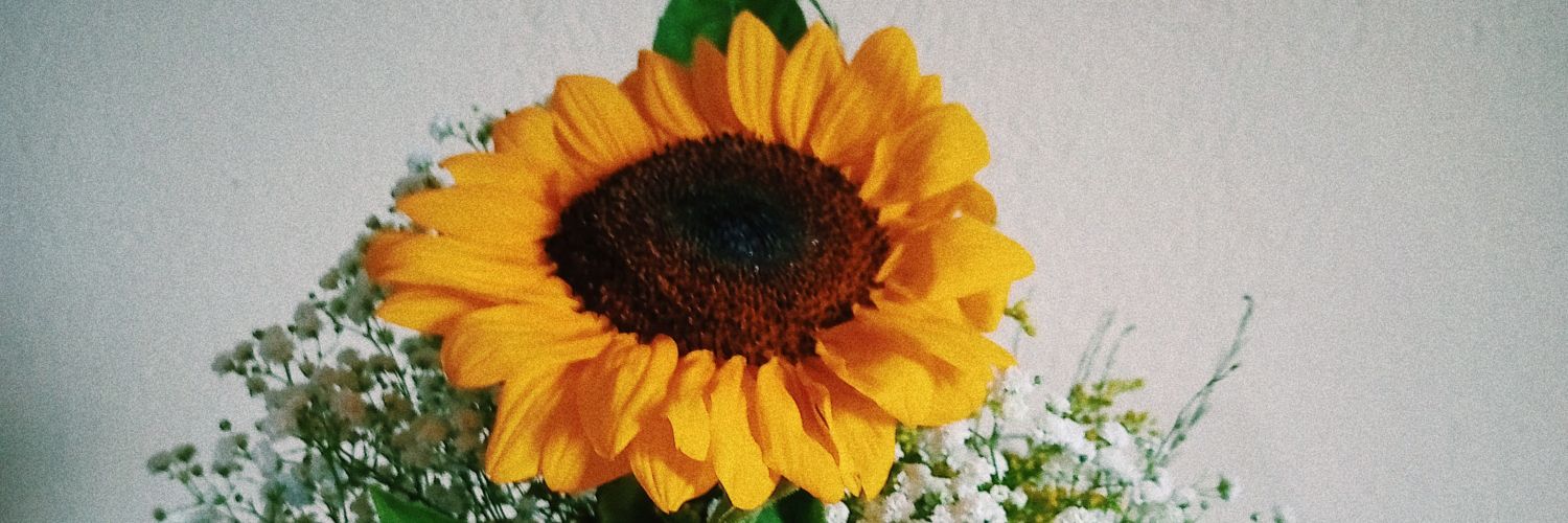 yayamsm's profile banner image