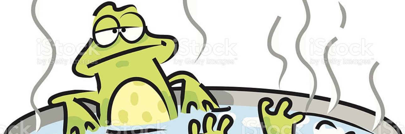 Steve banner
