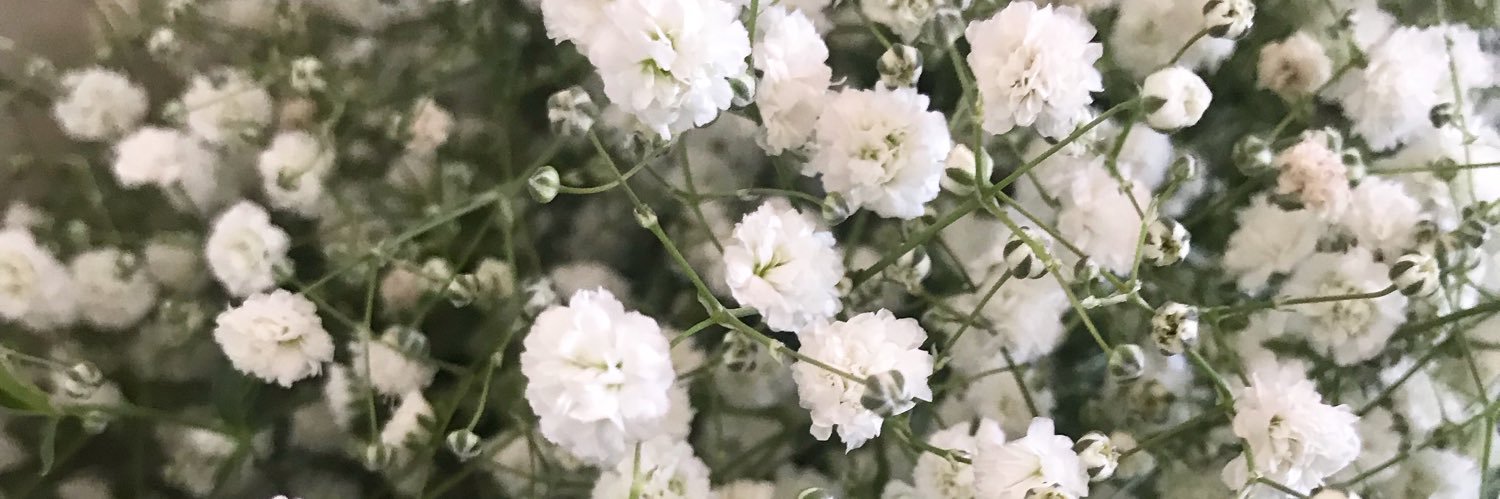 Lilly_Carranza's profile banner image
