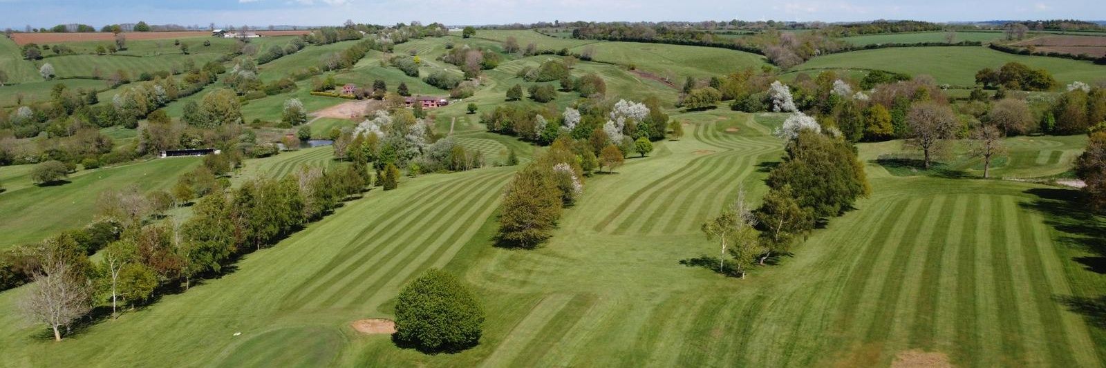 Ashley Hammond banner