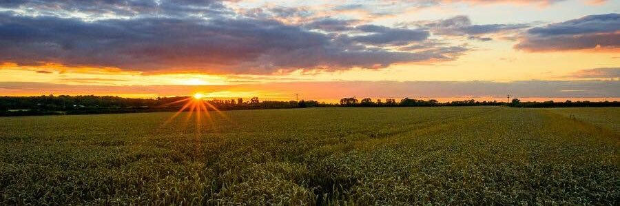brillpix's profile banner image