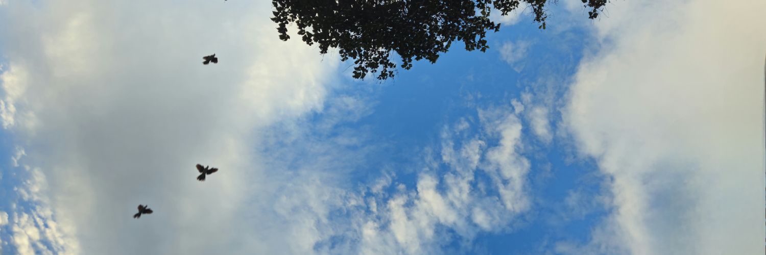 brierik730's profile banner image